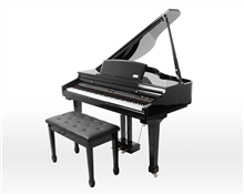 AG-50 Grand Black | Artesia 