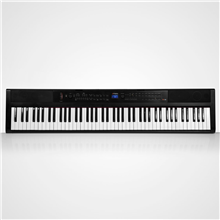 PE-88 Black | Artesia 