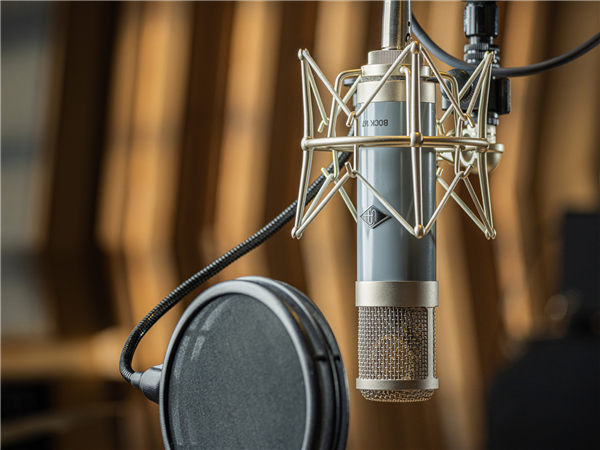 Bock 167 | Universal Audio 