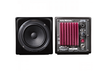Active MixCubes Black (pair) | Avantone Pro 