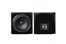 MixCubes Black (pair) | Avantone Pro 