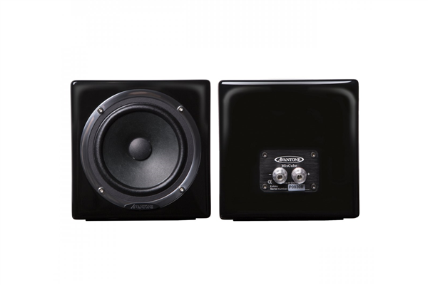 MixCubes Black (pair) | Avantone Pro 