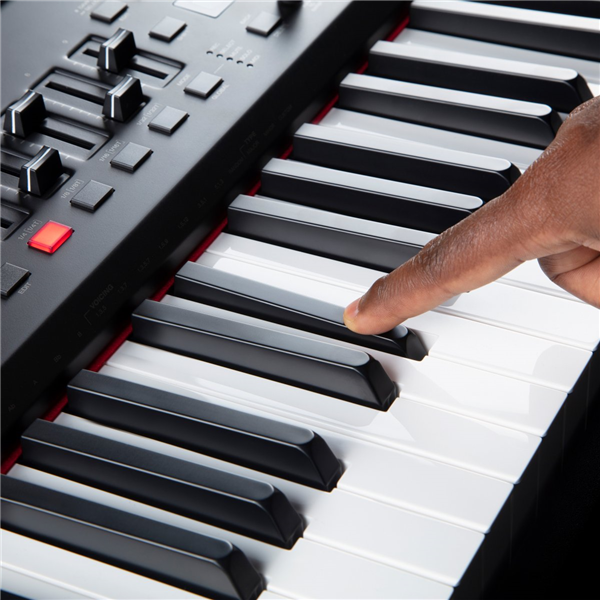 Hammer 88 PRO | M-Audio 