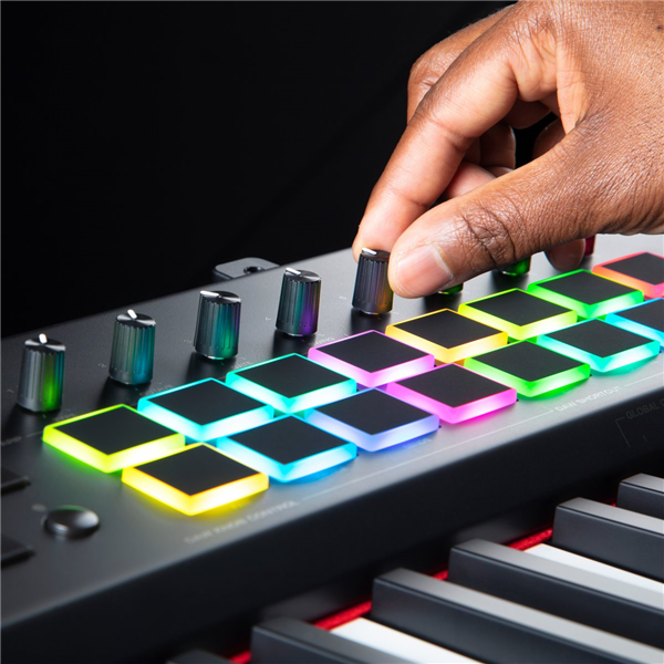 Hammer 88 PRO | M-Audio 