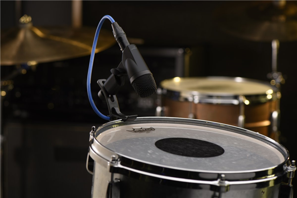 DM-7 | PreSonus 