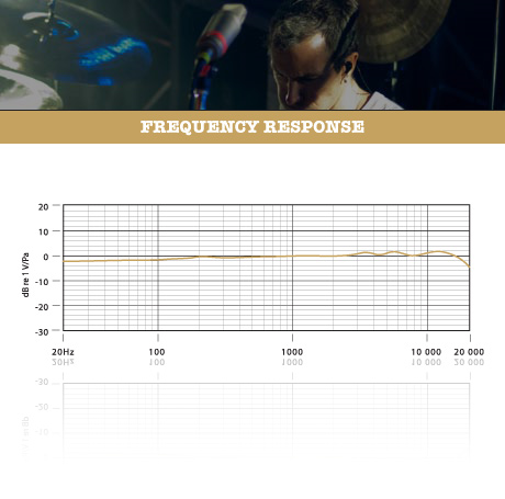 NT1000 | RØDE 
