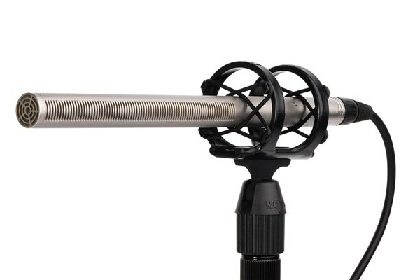 NTG3 | RØDE 