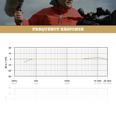 NTG3 | RØDE 