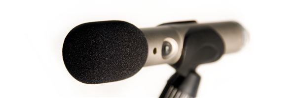 WS3 | RØDE 
