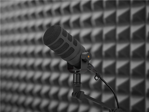 WS14 (Black) | RØDE 
