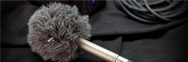 WS8 | RØDE 