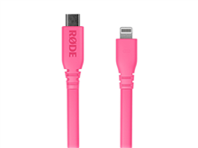 SC19 (Pink) | RØDE 
