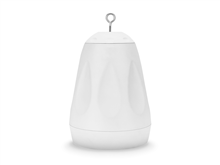 P6, White | NEXT Audio 