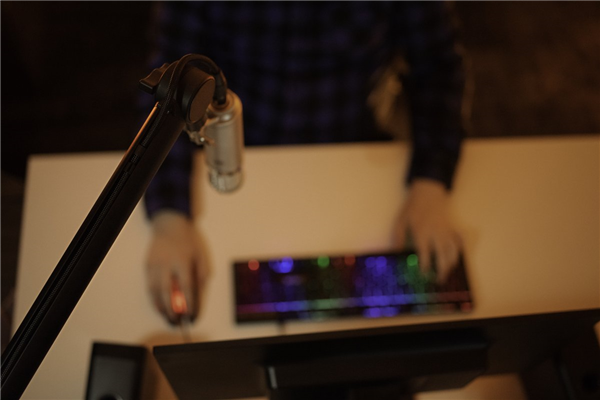 WA-MBA Microphone Boom Arm | Warm Audio 